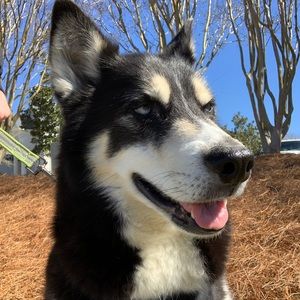 Meet your Posher, Will